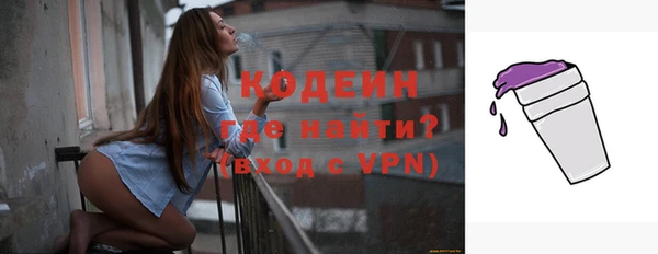 хмурый Новозыбков
