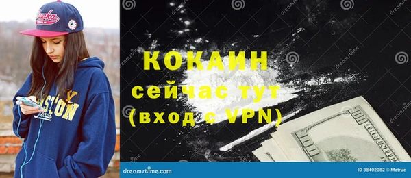 хмурый Новозыбков