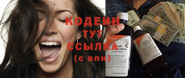 хмурый Новозыбков