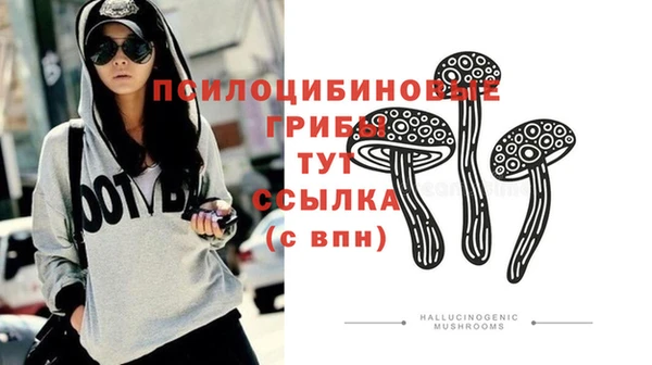 наркотики Новодвинск