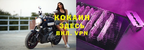хмурый Новозыбков